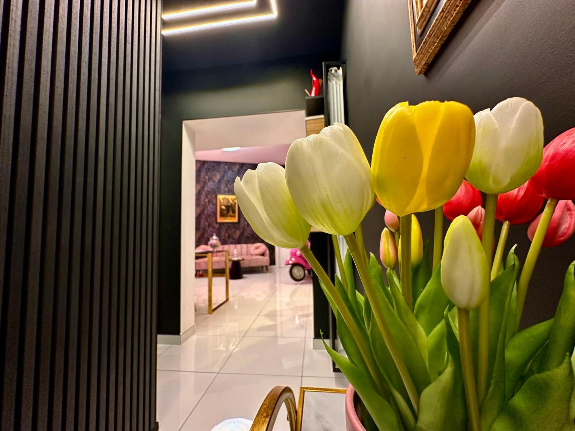 Elegance Rooms Spaccanapoli Exterior photo